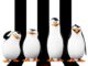 Penguins Of Madagascar1