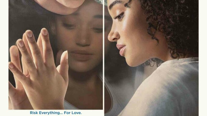 Everything Everything