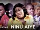 Ninu Aiye