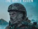 sniperthewhiteraven