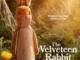 thevelveteenrabbit