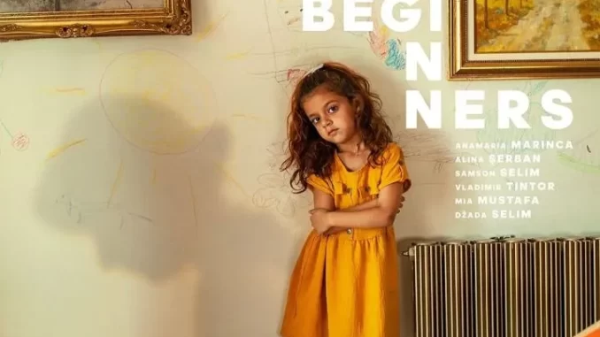 housekeepingforbeginners (1)