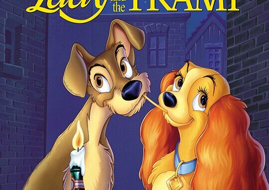 ladyandthetramp55