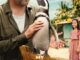 My Penguin Friend (2024)
